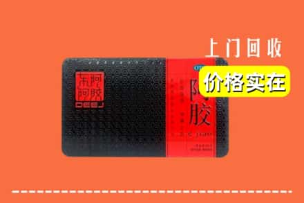 江阳区回收阿胶