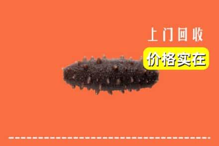 江阳区回收海参