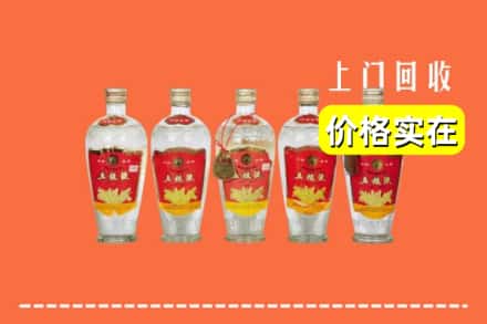 诚信求购:江阳区高价回收老五粮液